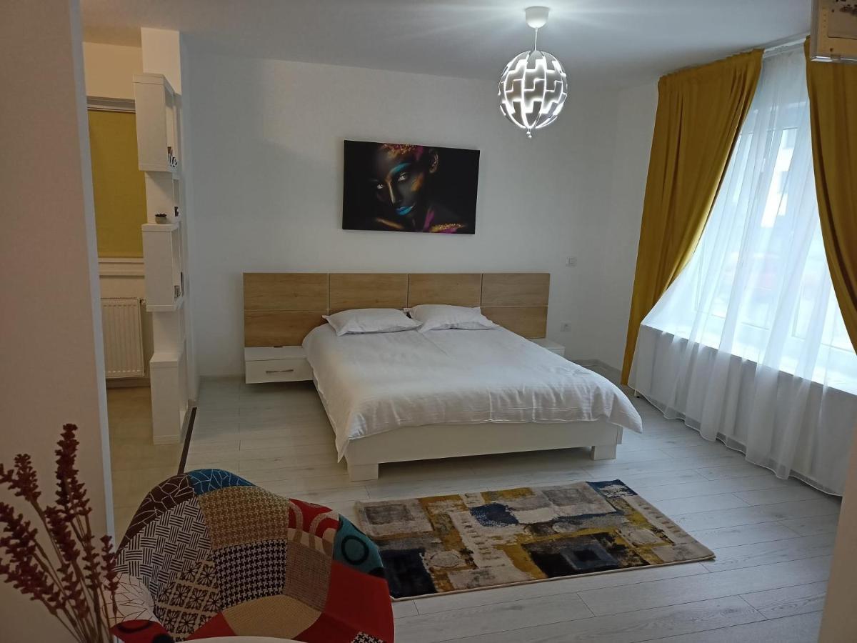 براشوف Vlad Residence المظهر الخارجي الصورة